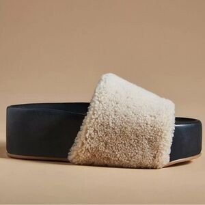 BLEEK albatross designer slides